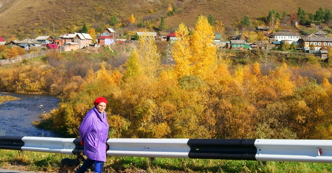 Пропала дама с собачкой