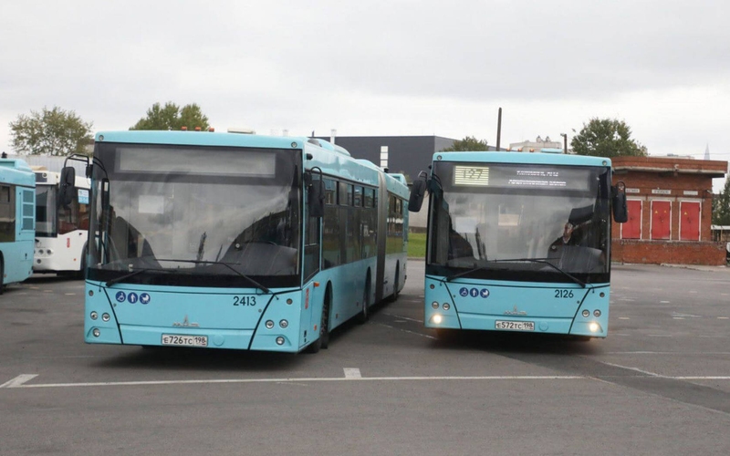 Пригородные автобусы Петербурга сделают бесплатными для льготников